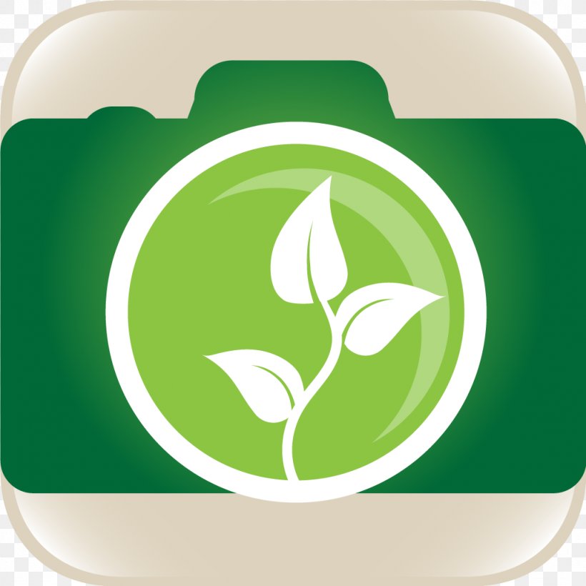 Logo Green Brand, PNG, 1024x1024px, Logo, Brand, Cup, Grass, Green Download Free