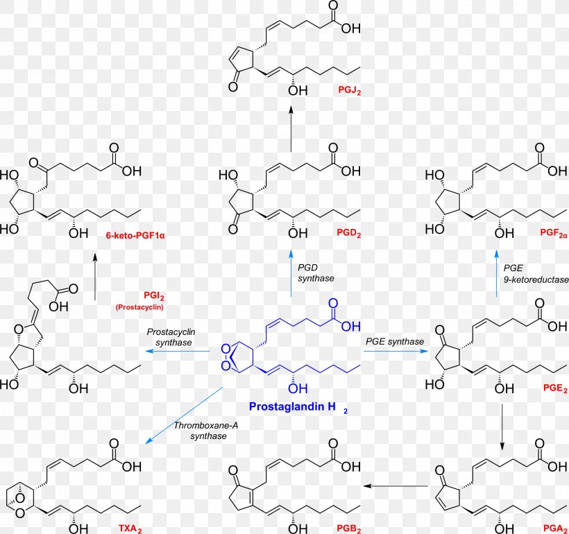 Prostaglandin H2 Thromboxane Chemical Synthesis Prostacyclin, PNG, 2370x2227px, Prostaglandin, Area, Chemical Reaction, Chemical Synthesis, Chemistry Download Free