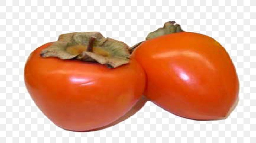 Persimmon Fruit Clip Art Image, PNG, 819x460px, Persimmon, Bush Tomato, Diet Food, Diospyros, Ebony Trees And Persimmons Download Free