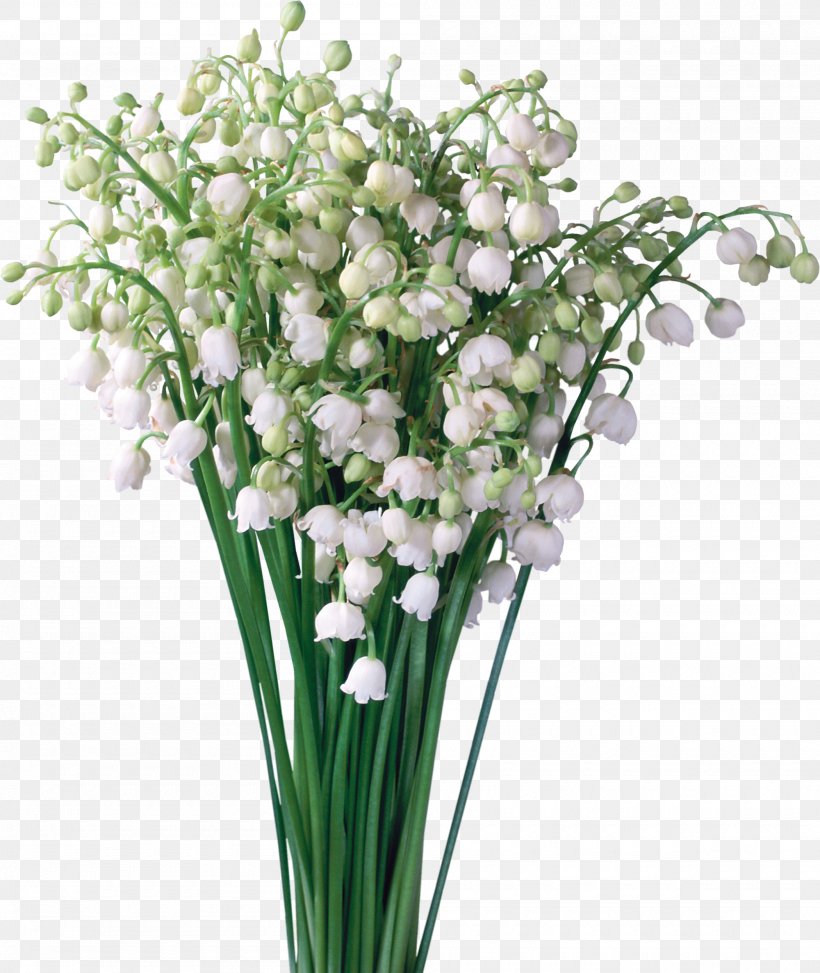 Desktop Wallpaper Image Clip Art Lily Of The Valley, PNG, 2000x2374px, Lily Of The Valley, Animation, Artificial Flower, Bouquet, Cut Flowers Download Free