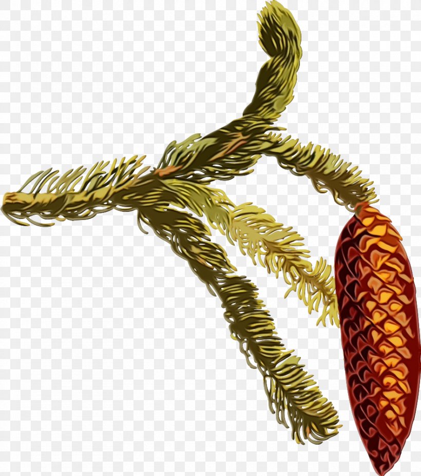 Tree Plant Pine Family Pine Metal, PNG, 883x1000px, Watercolor, Metal, Paint, Pine, Pine Family Download Free