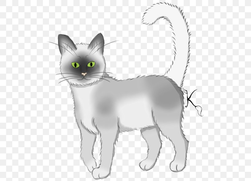 Balinese Cat Manx Cat Korat American Wirehair Nebelung, PNG, 520x590px, Balinese Cat, American Wirehair, Balinese, Black And White, Burmese Download Free