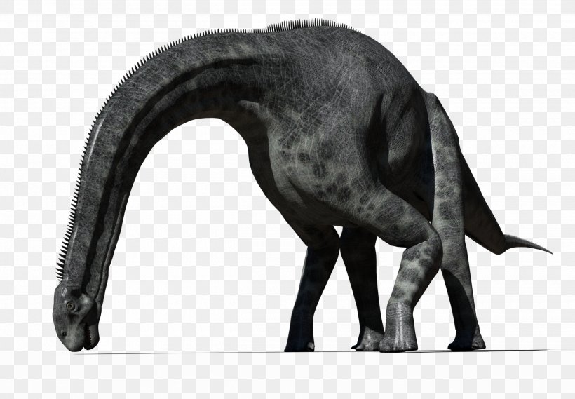 Cetiosaurus Dinosaur DeviantArt Stock Photography, PNG, 2500x1735px, 2018, Cetiosaurus, Black And White, Deviantart, Dinosaur Download Free