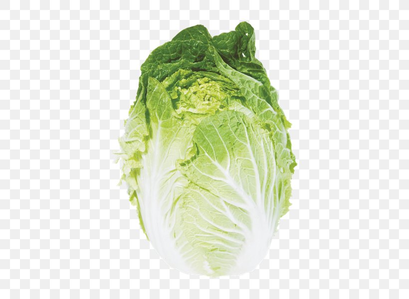 Romaine Lettuce Savoy Cabbage Napa Cabbage Chinese Cuisine Spring Greens, PNG, 434x600px, Romaine Lettuce, Brassica Oleracea, Cabbage, Capitata Group, Chard Download Free