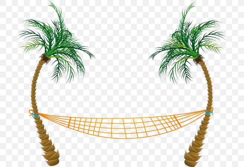 Hammock Clip Art, PNG, 699x560px, Hammock, Arecaceae, Arecales, Document, Feather Download Free