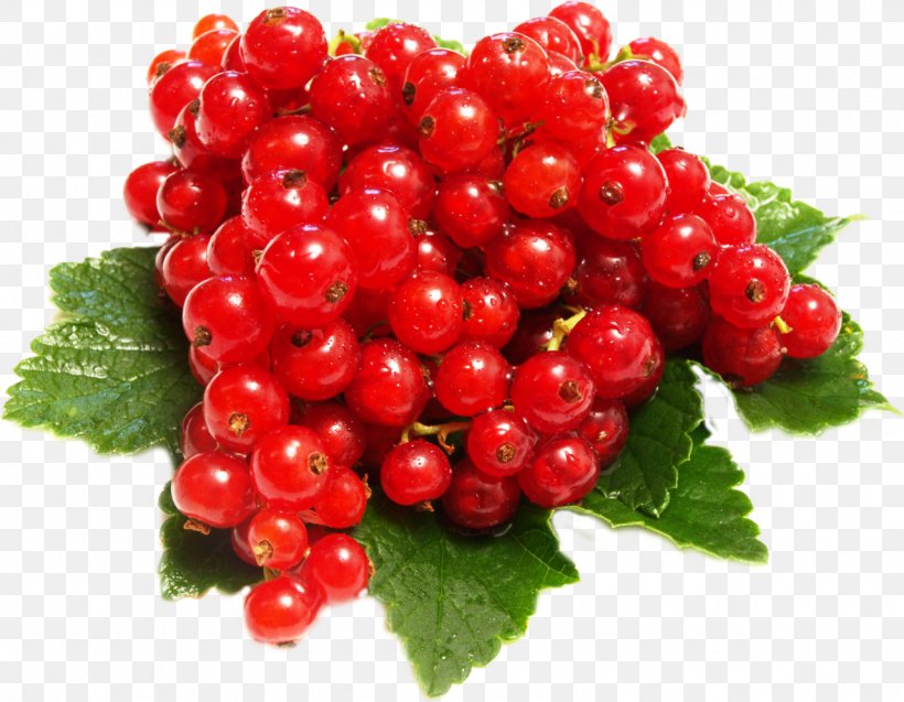 Juice Redcurrant Blackcurrant Gooseberry Fruit, PNG, 1280x995px, Juice, Berry, Bilberry, Blackberry, Blackcurrant Download Free