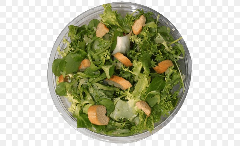 Romaine Lettuce Caesar Salad Macedonia Pasta Salad Spinach Salad, PNG, 500x500px, Romaine Lettuce, Caesar Salad, Crouton, Cruciferous Vegetables, Dessert Download Free