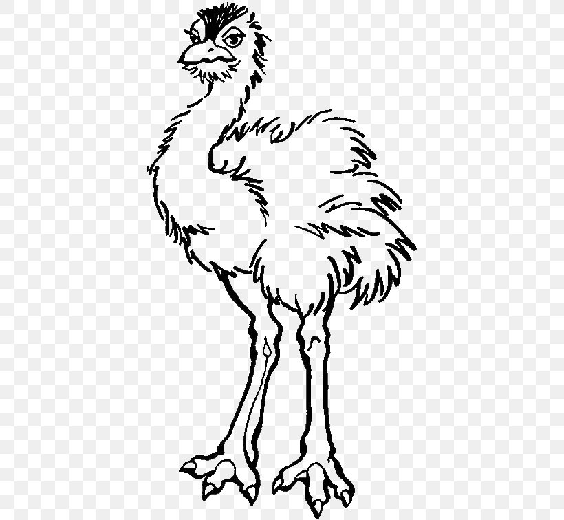 Common Ostrich Coloring Book Child Animal, PNG, 600x756px, Common Ostrich, Animal, Artwork, Beak, Bird Download Free