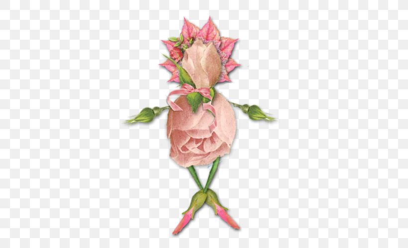 Garden Roses Photograph Vector Graphics Image, PNG, 500x500px, Garden Roses, Artificial Flower, Blog, Cut Flowers, Floral Design Download Free