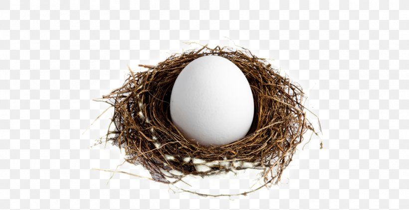 Individual Retirement Account Roth IRA 401(k) Retirement Planning, PNG, 960x495px, Individual Retirement Account, Account, Bird Nest, Egg, Investment Download Free