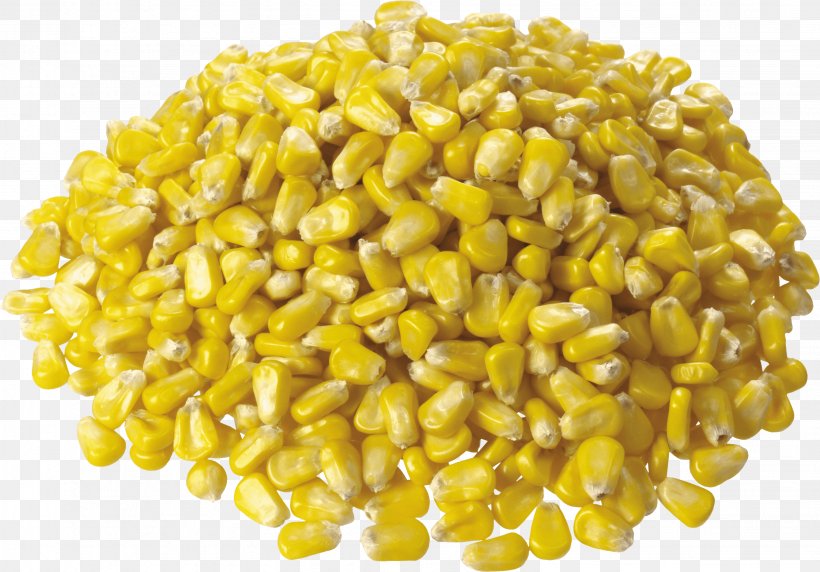 Maize Sweet Corn, PNG, 3063x2137px, Flint Corn, Commodity, Corn Flakes, Corn Kernel, Corn Kernels Download Free
