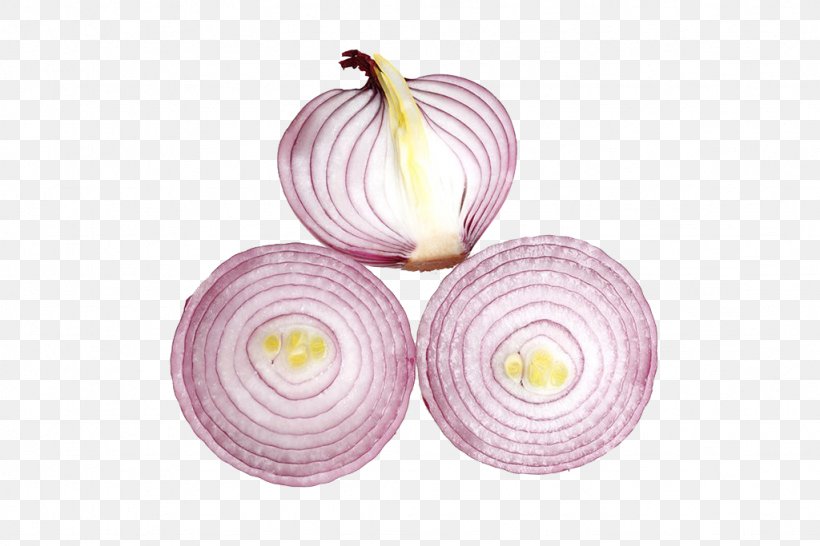 Onion Icon, PNG, 1024x683px, Onion, Dishware, Petal, Pink, Vegetable Download Free