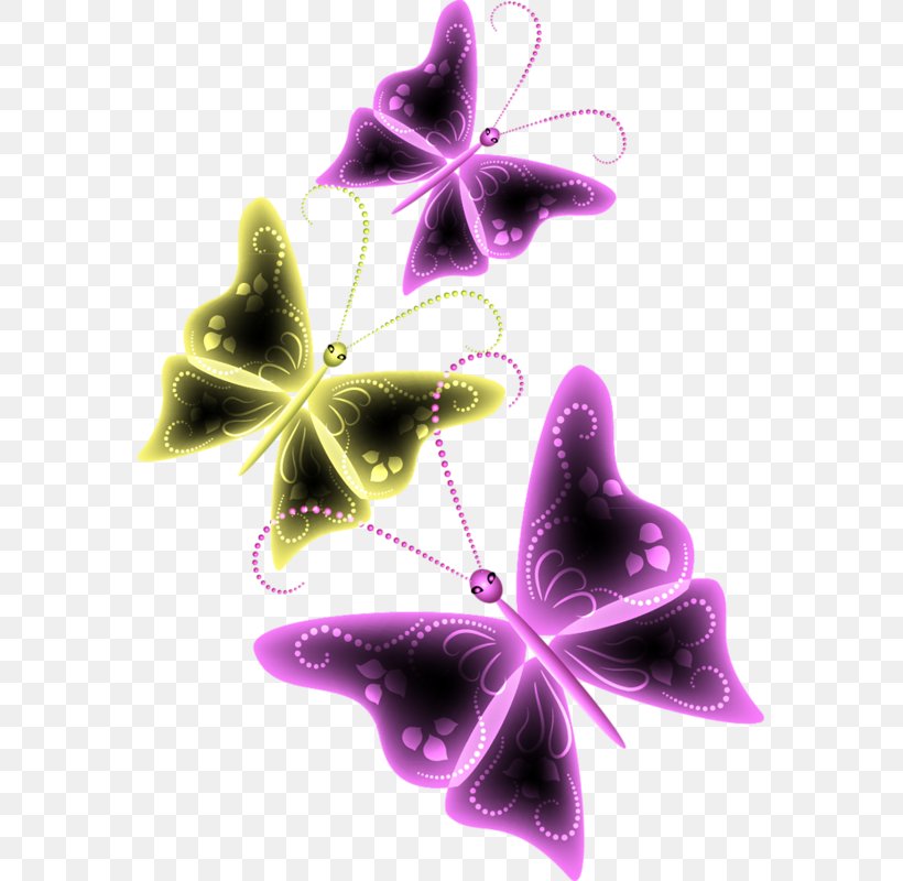 Butterfly Insect Animaatio Clip Art, PNG, 569x800px, Butterfly, Albom, Animaatio, Author, Blog Download Free