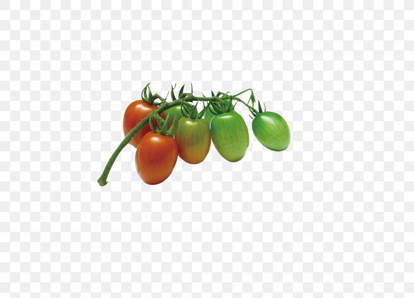 Cherry Tomato Vegetable Fruit Food Onion, PNG, 591x591px, Cherry Tomato, Auglis, Cherry, Diet Food, Eggplant Download Free