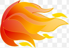 Fire - Clip Art PNG