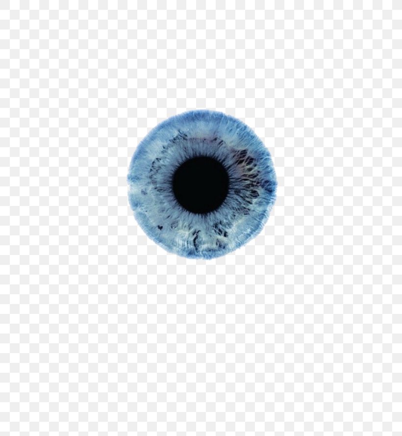 Iris Eye Color Human Eye Pupil, PNG, 500x889px, Watercolor, Cartoon, Flower, Frame, Heart Download Free
