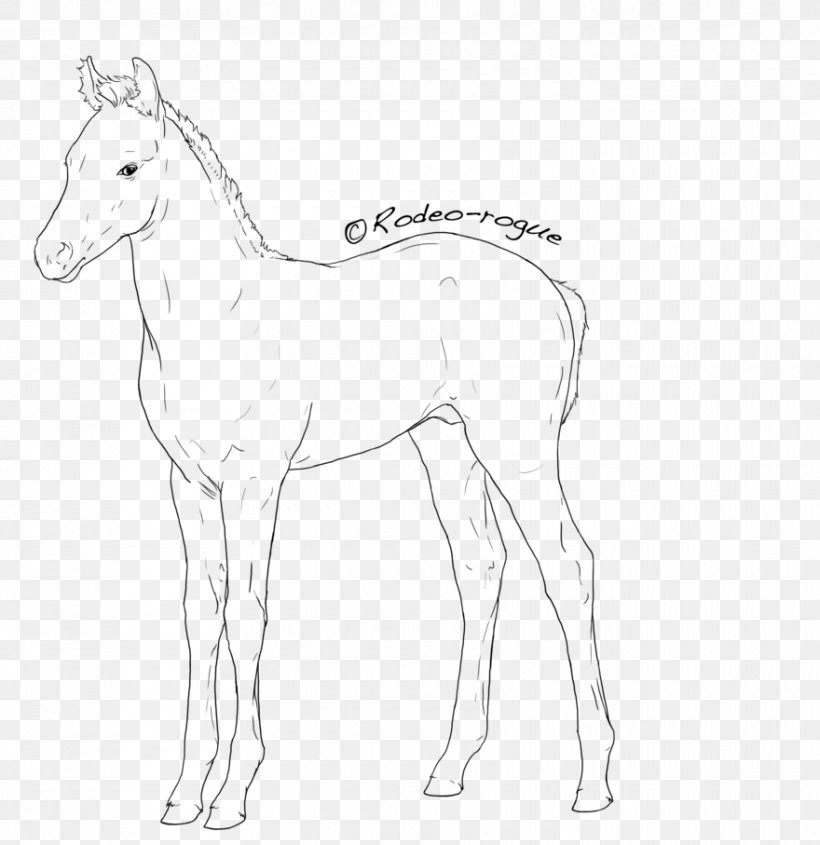 Mane Foal Mustang Colt Stallion, PNG, 880x907px, Mane, Animal Figure, Artwork, Black And White, Bridle Download Free