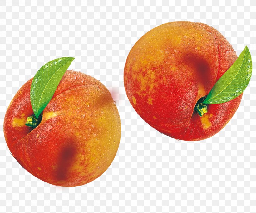 Peach Blood Orange Fruit, PNG, 1200x1000px, Peach, Apple, Auglis, Blood Orange, Citrus Download Free
