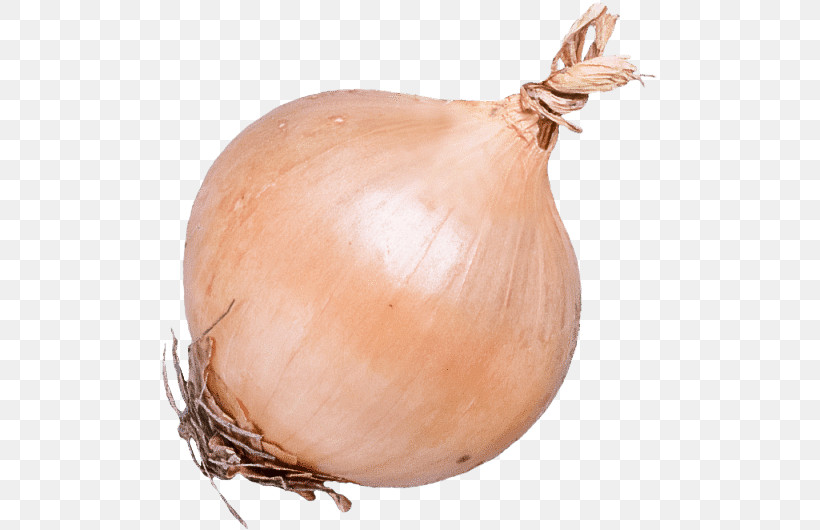 Brown Onion Vegetable Shallot Ingredient Genus, PNG, 500x530px, Vegetable, Genus, Ingredient, Onion, Shallot Download Free