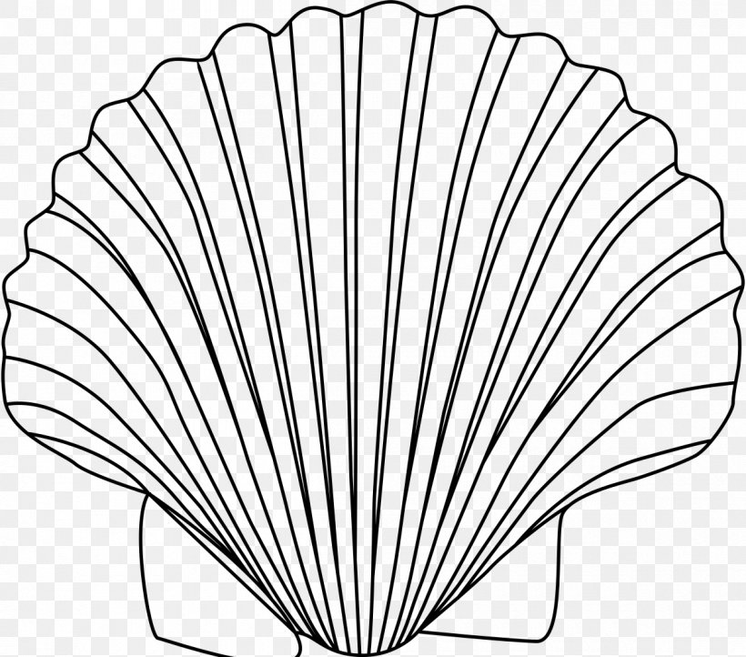 Clam Drawing Seashell Clip Art, PNG, 1200x1058px, Clam, Black And White, Coloring Book, Drawing, Invertebrate Download Free