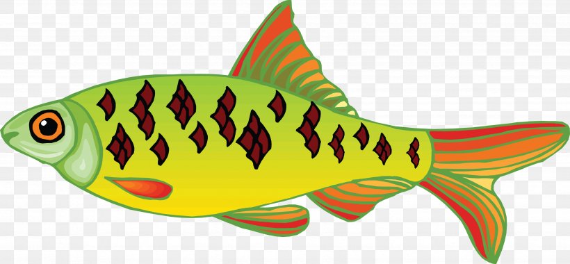 Fish Clip Art, PNG, 3467x1610px, Fish, Bony Fish, Digital Image, Drawing, Fauna Download Free