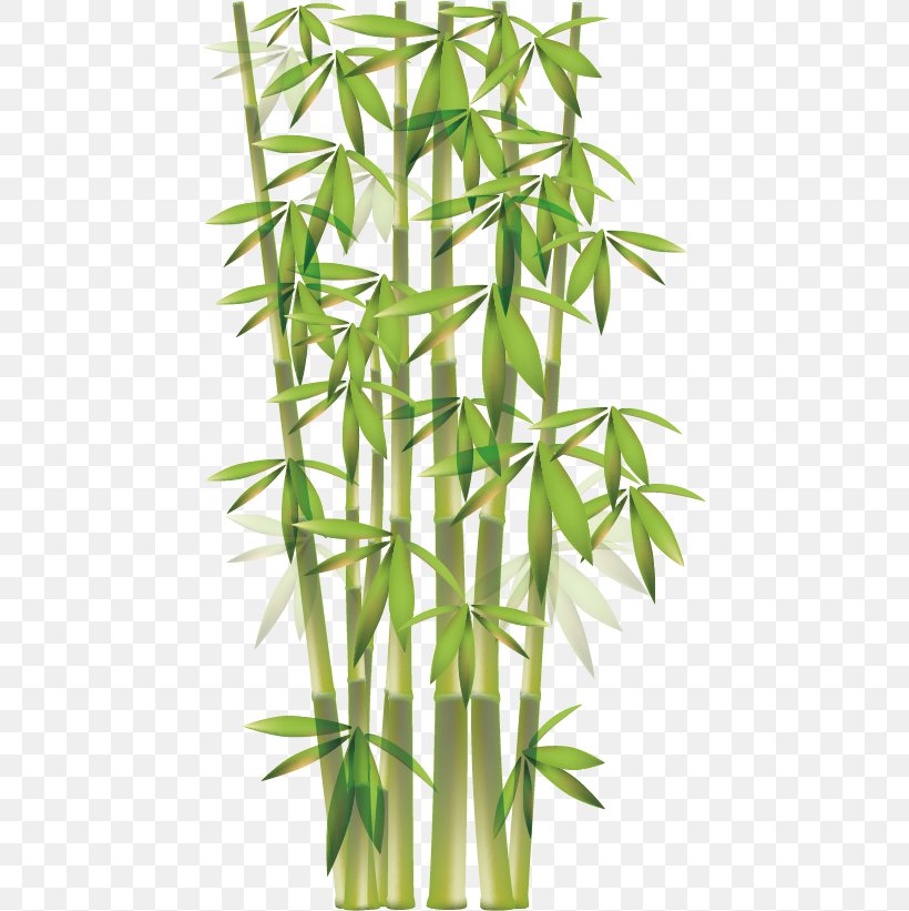 Bamboo Euclidean Vector Clip Art, PNG, 455x821px, Bamboo, Drawing, Flowerpot, Grass, Grass Family Download Free