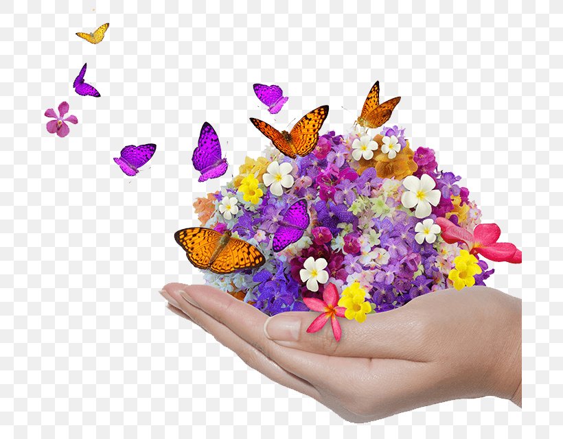 Blessing Family Image Flower Morning, PNG, 701x640px, Blessing, Butterfly, Community, Cut Flowers, Family Download Free