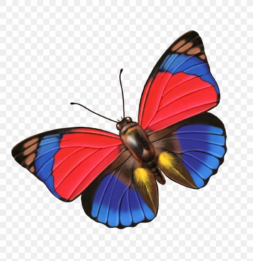 Download Clip Art, PNG, 938x969px, Computer Graphics, Animation, Arthropod, Brush Footed Butterfly, Butterfly Download Free