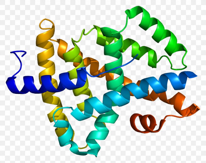 Farnesoid X Receptor Nuclear Receptor Bile Acid Fexaramine, PNG, 896x710px, Farnesoid X Receptor, Bile, Bile Acid, Biochemistry, Insulin Receptor Download Free