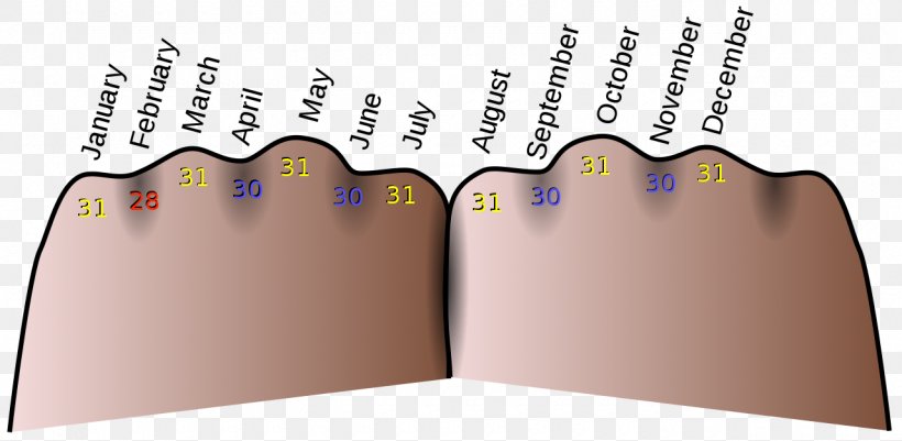 Latin Mnemonics Memory Knuckle Mnemonic Acronym, PNG, 1280x626px, Mnemonic, Acronym, Elaborative Encoding, Encoding, Finger Download Free