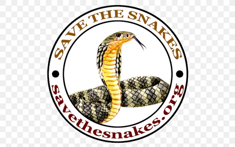 University Of California, Santa Barbara Rattlesnake King Cobra Kingsnakes, PNG, 512x512px, Rattlesnake, Cobra, College, Fauna, King Cobra Download Free
