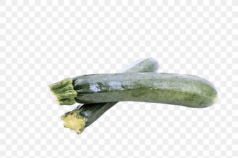 Vegetable Plant Zucchini Luffa Food, PNG, 2448x1632px, Vegetable, Food, Luffa, Plant, Zucchini Download Free
