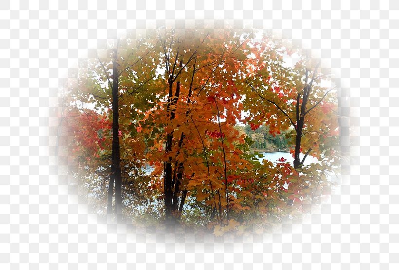 Autumn Landscape Desktop Wallpaper Clip Art, PNG, 740x555px, 2017, 2018, Autumn, Advertising, Calendar Download Free