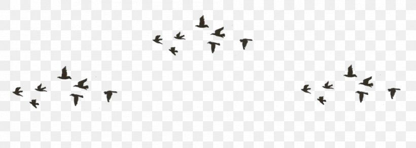Desktop Wallpaper Bird, PNG, 950x340px, Bird, Animal Migration, Bird Migration, Black And White, Drawing Download Free