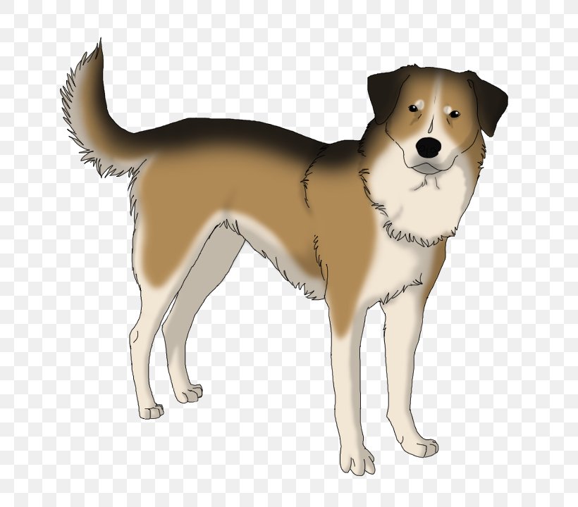Ancient Dog Breeds Canaan Dog Norwegian Lundehund Companion Dog, PNG, 720x720px, Dog Breed, Ancient Dog Breeds, Breed, Canaan Dog, Carnivoran Download Free
