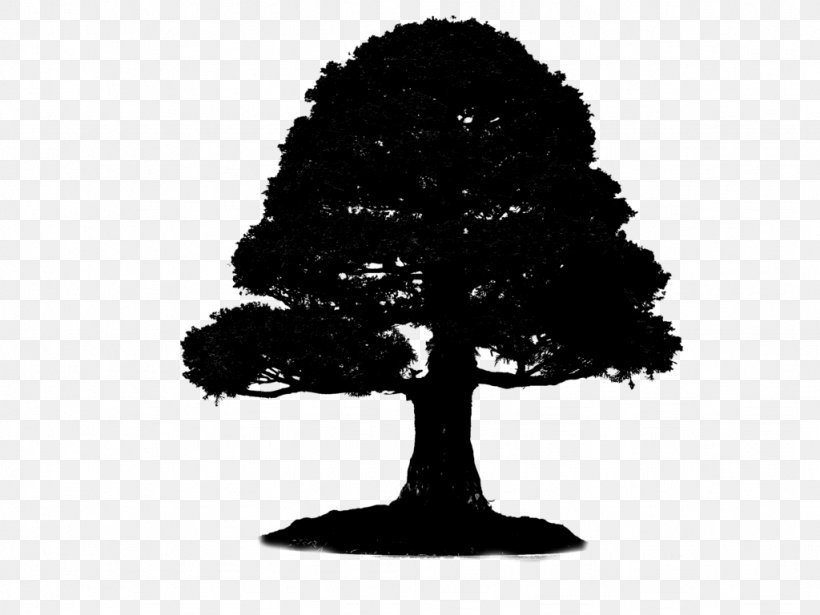 Bonsai Clip Art Stock Photography Vector Graphics Illustration, PNG, 1024x768px, Bonsai, Blackandwhite, Branch, Depositphotos, Houseplant Download Free