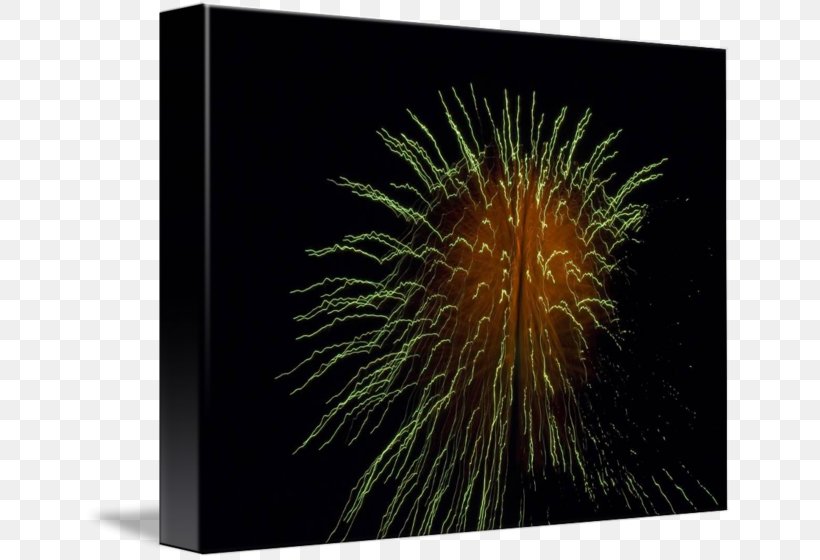Imagekind Art Photography Poster Fireworks, PNG, 650x560px, Imagekind, Art, Canvas, Com, Fireworks Download Free