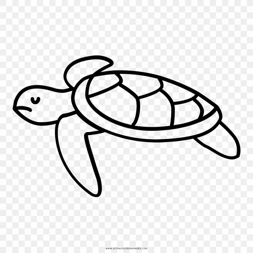 Vector outlined turtle cartoon design  Stock Illustration 76184895   PIXTA