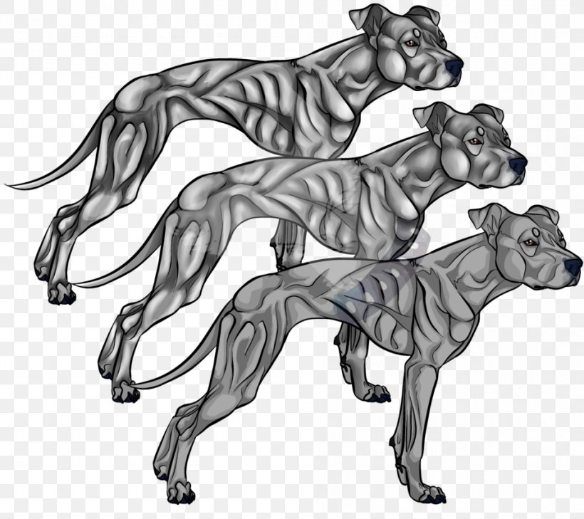 American Pit Bull Terrier Line Art Drawing, PNG, 948x843px, American Pit Bull Terrier, Animal, Art, Big Cats, Black And White Download Free