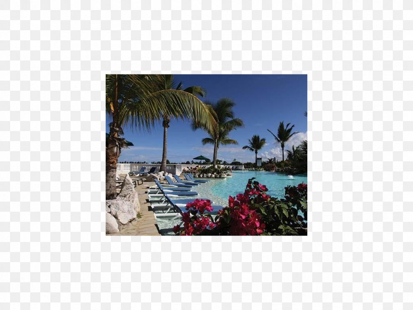 Arecaceae Property Vacation Sea Tourism, PNG, 1024x768px, Arecaceae, Arecales, Flora, Landscape, Palm Tree Download Free