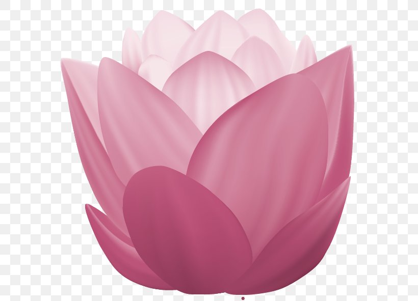 Image Nymphaea Nelumbo Mid-Autumn Festival China Design, PNG, 591x591px, Nymphaea Nelumbo, Aquatic Plant, China, Chinese Garden, Chinoiserie Download Free