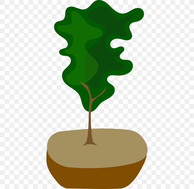Tree Bonsai Pine Clip Art, PNG, 800x800px, Tree, Bonsai, Branch, Drawing, Fir Download Free