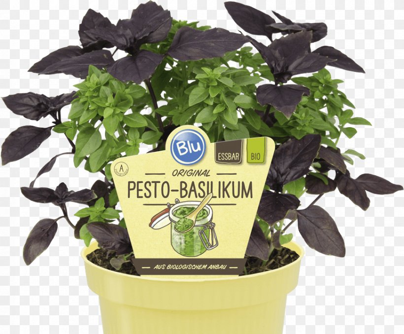 Basil Pesto Raised-bed Gardening Vegetable, PNG, 870x720px, Basil, Cocktail, Flowerpot, Garden, Garden Furniture Download Free