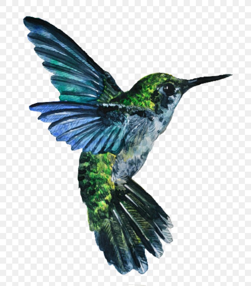 Hummingbird Watercolor Painting Drawing, PNG, 700x933px, Hummingbird, Art, Beak, Bird, Deviantart Download Free