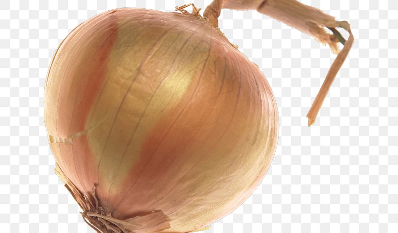 Onion Cartoon, PNG, 640x480px, Yellow Onion, Allium, Amaryllis Family, Food, French Onion Soup Download Free