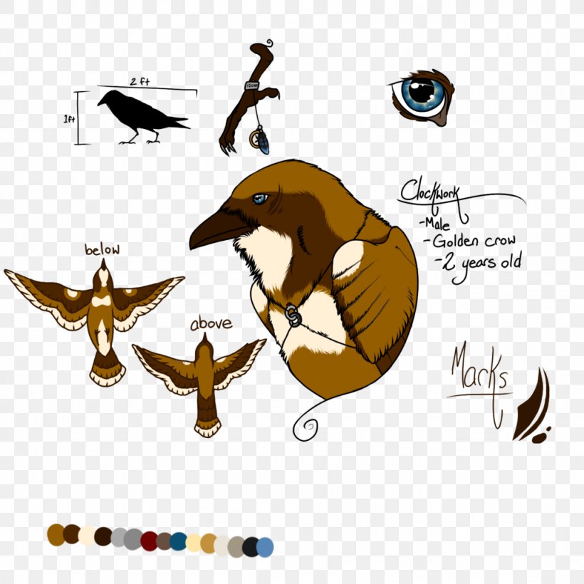 Carnivora Clip Art, PNG, 1024x1024px, Carnivora, Beak, Bird, Carnivoran, Cartoon Download Free