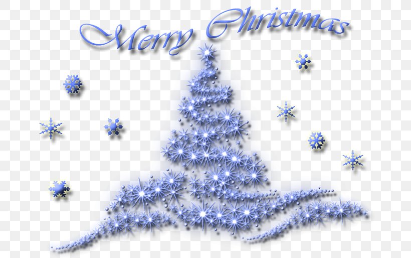Christmas Tree Jewellery Christmas Day Christmas Ornament Fir, PNG, 685x514px, Christmas Tree, Blue, Body Jewellery, Body Jewelry, Christmas Download Free