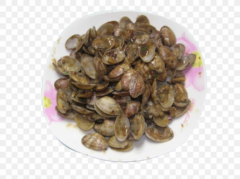 Clam Download, PNG, 2288x1712px, Clam, Animal Source Foods, Clams Oysters Mussels And Scallops, Dish, Food Download Free