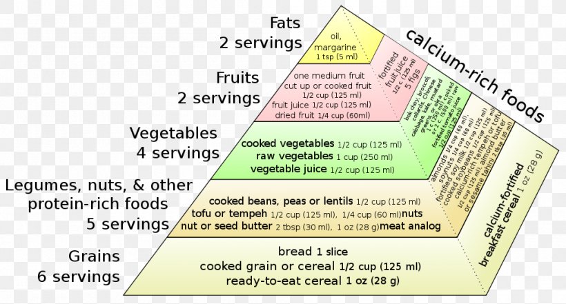 Food Pyramid Veganism Vegetarianism Nutrient, PNG, 1000x538px, Food Pyramid, Area, Beslenme, Cereal, Dairy Products Download Free