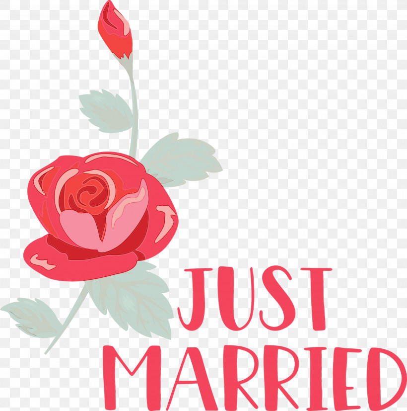 Garden Roses, PNG, 2972x3000px, Just Married, Cut Flowers, Floral Design, Flower, Flower Garden Download Free